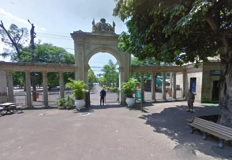Governo do RJ confirma gripe aviária em aves do BioParque
